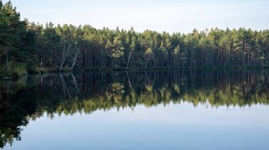 Yaz aylarında sakin suda yansıtan ağaçları ile sakin Nehri'nin güzel manzara