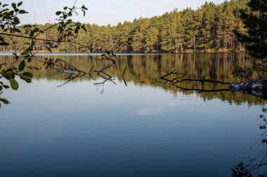 Yaz aylarında sakin suda yansıtan ağaçları ile sakin Nehri'nin güzel manzara