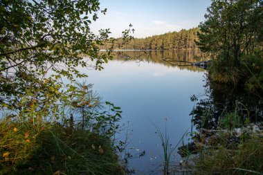 Yaz aylarında sakin suda yansıtan ağaçları ile sakin Nehri'nin güzel manzara