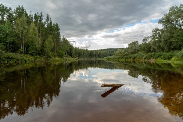 Paysage Rivière Calme Dans Forêt Verte — Photo