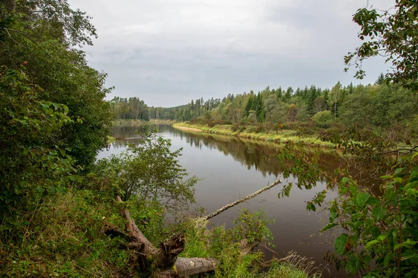 Bellissimo Paesaggio Fiume Calmo Con Alberi Che Riflettono Acque Calme — Foto Stock