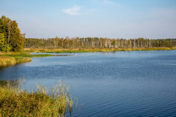 Krásné Letní Krajina Řeky Lesy Pobřeží Modrá Obloha — Stock fotografie