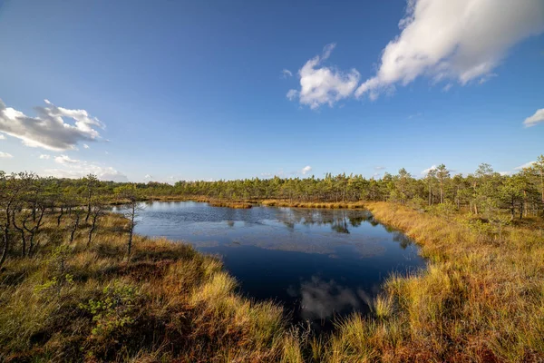 Mooie Zomerse Landschap Van Rivier Met Bossen Oevers Blauwe Hemel — Stockfoto