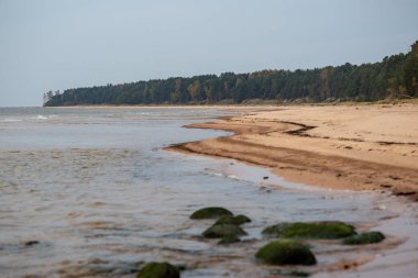 bulutlu gün düşük gelgit ile kumlu deniz plaj