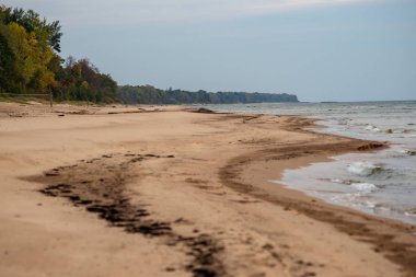 düşük tide bulutlu gün içinde sonbahar renkleri ile kumlu deniz plaj