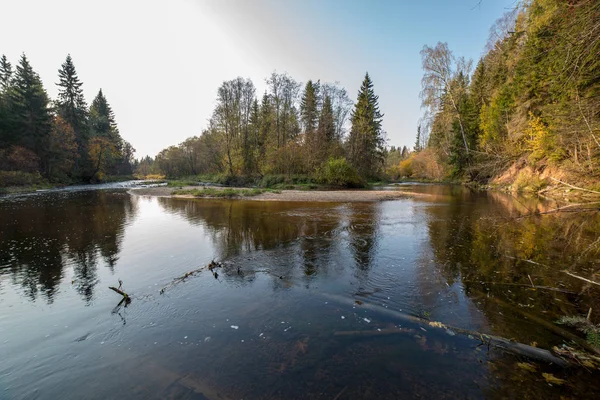 Paysage Rivière Calme Dans Forêt Verte — Photo