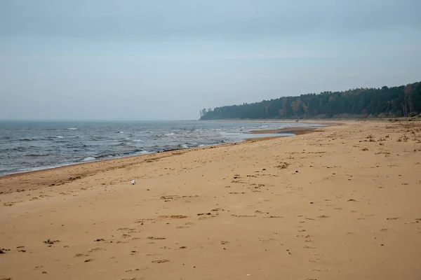 Піщаний Морський Пляж Низьким Припливом Похмурий День — стокове фото