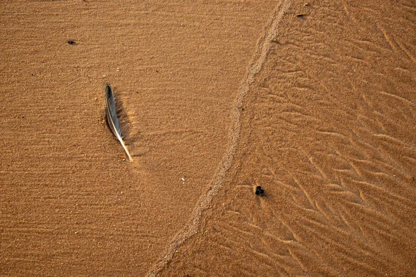 Φόντου Της Υφής Των Άμμου Μοτίβο Στο Φως Της Ημέρας — Φωτογραφία Αρχείου