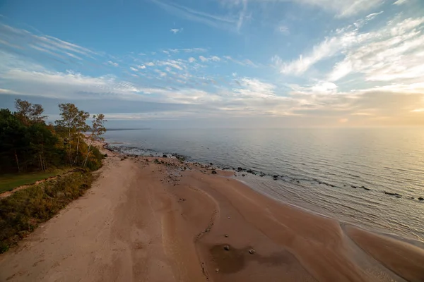 秋の色に曇りの日の干潮で砂海ビーチ — ストック写真