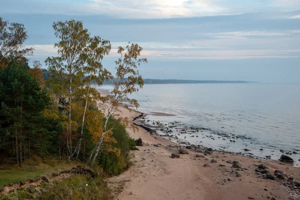 Sandig Strand Med Lågvatten Mulen Dag Höstfärger — Stockfoto