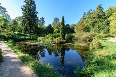 Küçük Gölet ve patika yeşil yaz Park