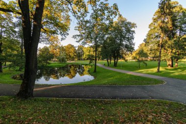 Küçük Gölet ve patika yeşil yaz Park