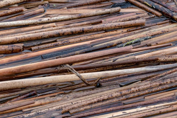 background of wet brown bamboo sticks