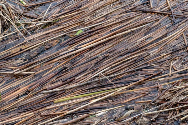 background of wet brown bamboo sticks