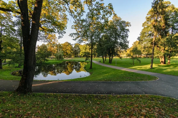 Küçük Gölet ve patika yeşil yaz Park