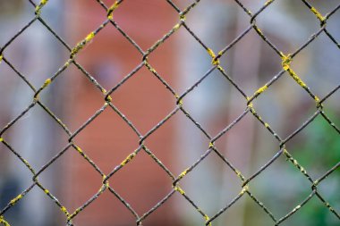 kirli metal çit kılavuzunun arka plan