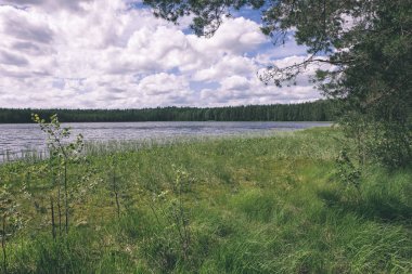 göl ve yeşil ağaçların doğal görünümü