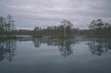 puslu sabah geç sonbaharda bataklık göller üzerinde