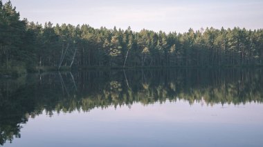 Orman ve sakin göl üzerinde gökyüzü doğal görünümünü
