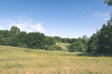 geç sonbahar kırsal manzara doğal görünümü