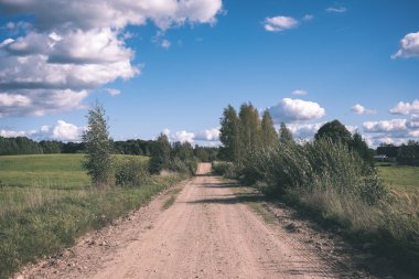 Her iki tarafta, Letonya büyük ağaçları ile boş yol