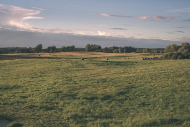 Yaz aylarında ekili buğday alanının doğal görünümü