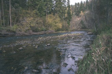 kayalık orman Amata Nehri ile düşük akım yaz, Letonya