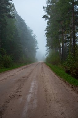 Her iki tarafta, Letonya büyük ağaçları ile boş yol