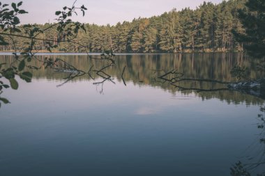 Orman ve sakin göl üzerinde gökyüzü doğal görünümünü