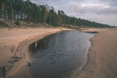 Doğal görünümü mavi gökyüzü ve kumlu plaj