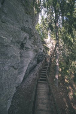 ahşap pathwalk ormandaki, Letonya ile turist iz