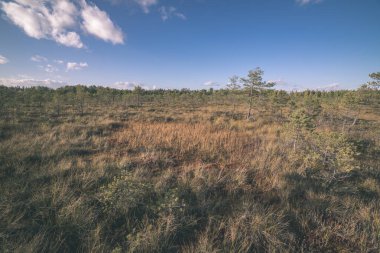 doğal peyzaj üzerinde bulutlu gökyüzü doğal görünümünü