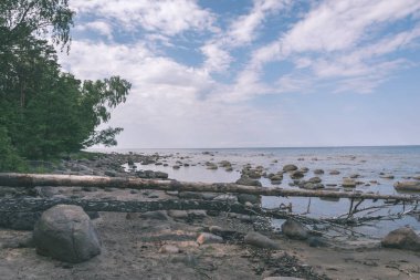 lakeside plaj detayları zemin doğal görünümü