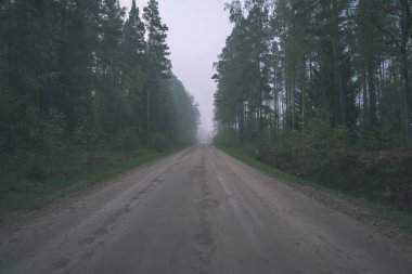 Her iki tarafta, Letonya büyük ağaçları ile boş yol