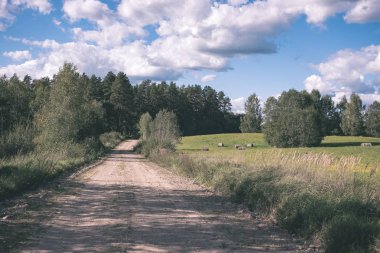 Her iki tarafta, Letonya büyük ağaçları ile boş yol
