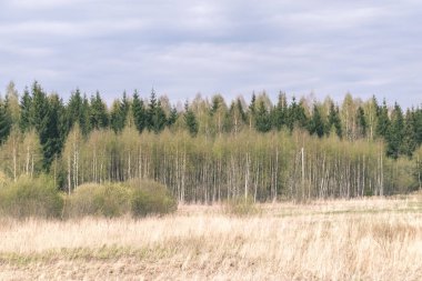 geç sonbahar kırsal manzara doğal görünümü
