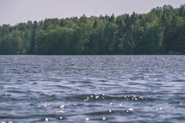 mavi gökyüzü, orman ve sonbaharda sakin göl manzaralı görünüm