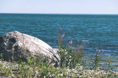 lakeside plaj detayları zemin doğal görünümü