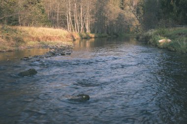 kayalık orman Amata Nehri ile düşük akım yaz, Letonya