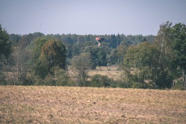 Yaz aylarında ekili buğday alanının doğal görünümü