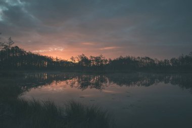 puslu sabah geç sonbaharda bataklık göller üzerinde