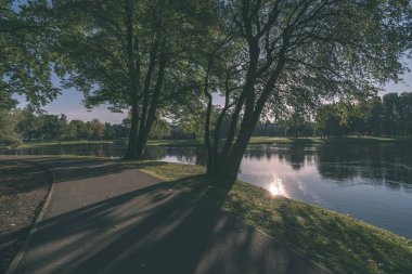 güzel sonbahar park manzaralı görünüm