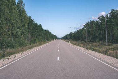 boş asfalt yol ile her iki tarafta yeşil orman