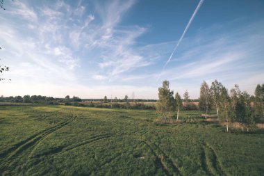 Yaz aylarında ekili buğday alanının doğal görünümü