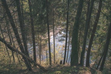 kayalık orman Amata Nehri ile düşük akım yaz, Letonya