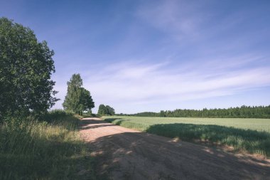 Her iki tarafta, Letonya büyük ağaçları ile boş yol