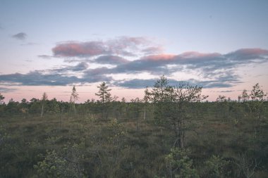 Bataklık alanın üzerine günbatımı manzaralı görünüm