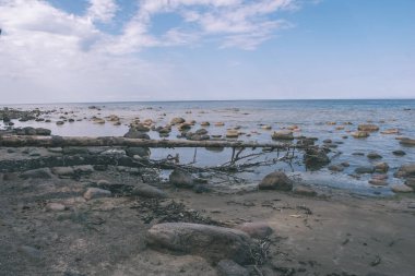 doğal plaj detayları kayalar ve bulanıklık arka plan görünümünü