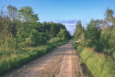 Her iki tarafta, Letonya büyük ağaçları ile boş yol
