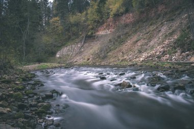 kayalık orman Amata Nehri ile düşük akım yaz, Letonya